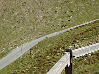 20040717_20_ (16)Umbrail.JPG